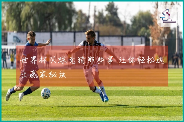 世界杯买球竞猜那些事 让你轻松选出赢家秘诀