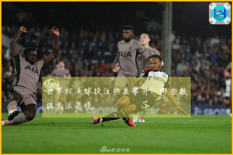 世界杯滚球投注热度攀升，哪些数据无法忽视