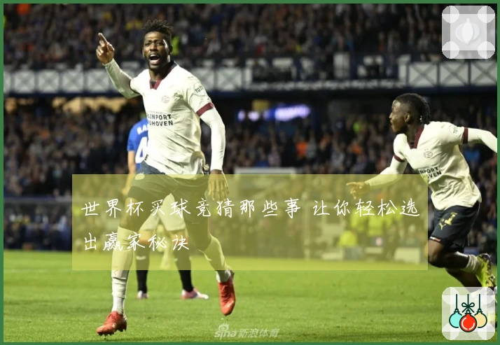 世界杯买球竞猜那些事 让你轻松选出赢家秘诀