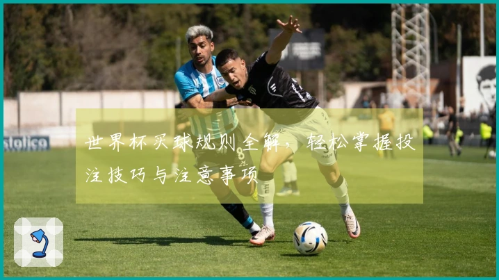 世界杯买球规则全解，轻松掌握投注技巧与注意事项