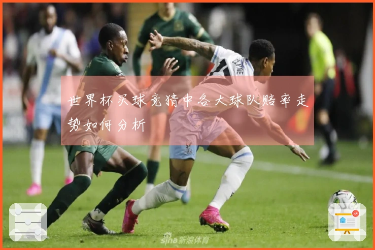 世界杯买球竞猜中各大球队赔率走势如何分析