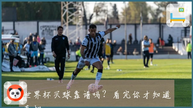 世界杯买球靠谱吗？看完你才知道真相
