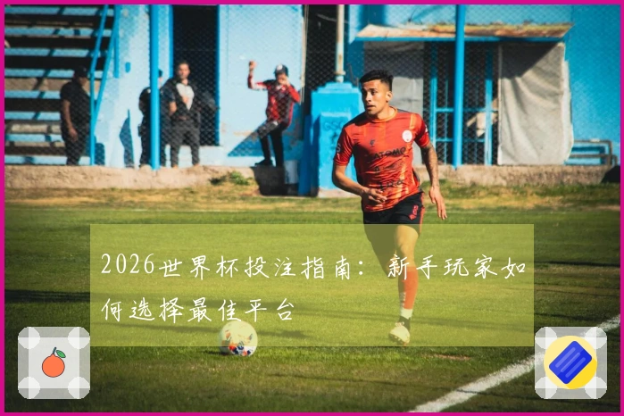 2026世界杯投注指南：新手玩家如何选择最佳平台