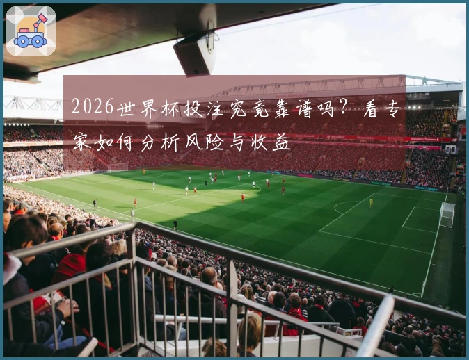 2026世界杯投注究竟靠谱吗？看专家如何分析风险与收益