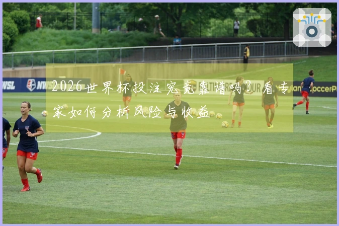 2026世界杯投注究竟靠谱吗？看专家如何分析风险与收益