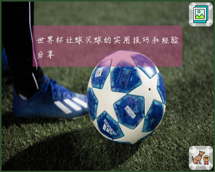 世界杯让球买球的实用技巧和经验分享