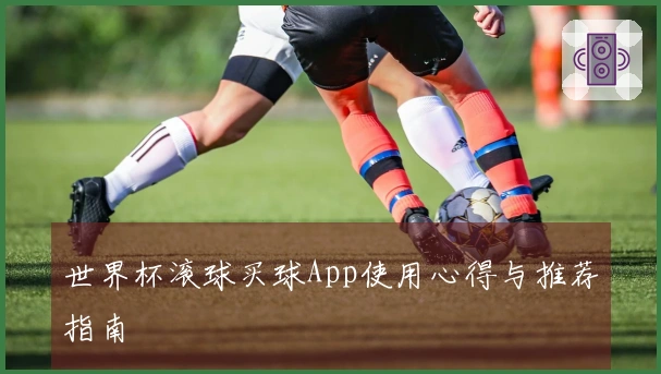 世界杯滚球买球App使用心得与推荐指南