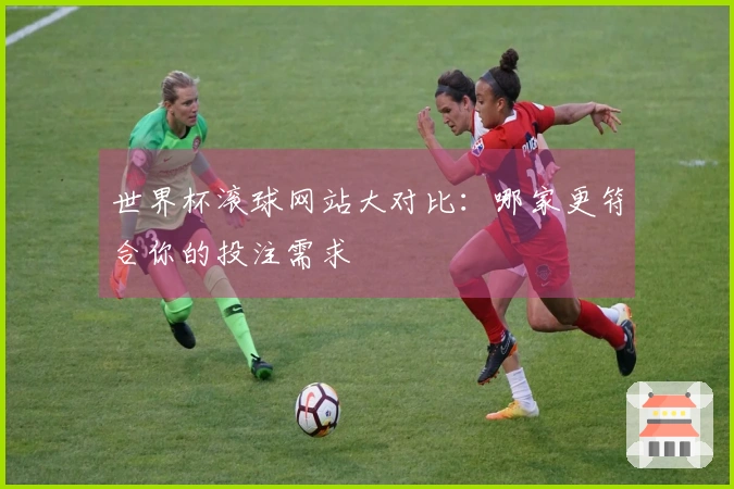 世界杯滚球网站大对比：哪家更符合你的投注需求