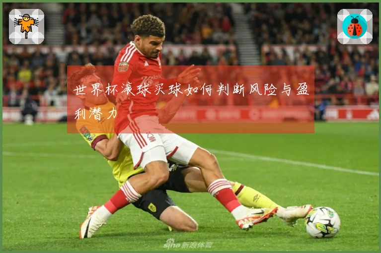 世界杯滚球买球如何判断风险与盈利潜力
