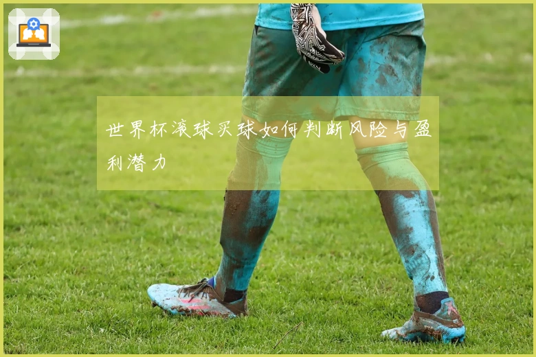 世界杯滚球买球如何判断风险与盈利潜力